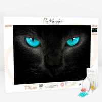 Lesen Picmondoo GmbH Bewertungen